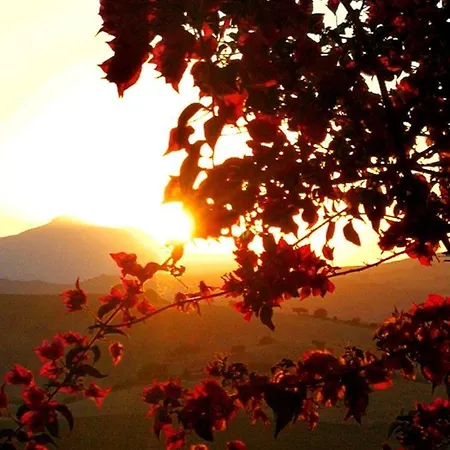 Campanas Ii Bed & Breakfast