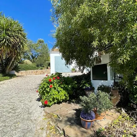 Bed & Breakfast Campanas Ii *